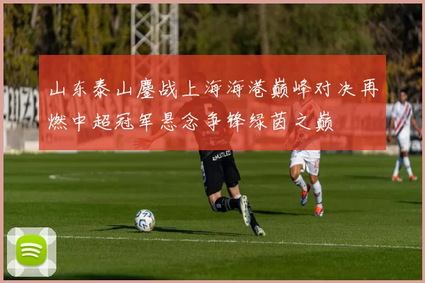 山东泰山鏖战上海海港巅峰对决再燃中超冠军悬念争锋绿茵之巅