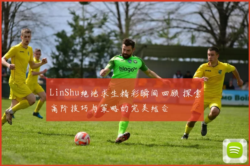 LinShu绝地求生精彩瞬间回顾 探索高阶技巧与策略的完美结合