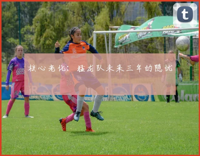 核心老化：猛龙队未来三年的隐忧