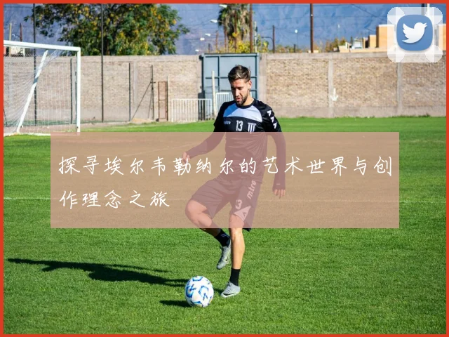 探寻埃尔韦勒纳尔的艺术世界与创作理念之旅